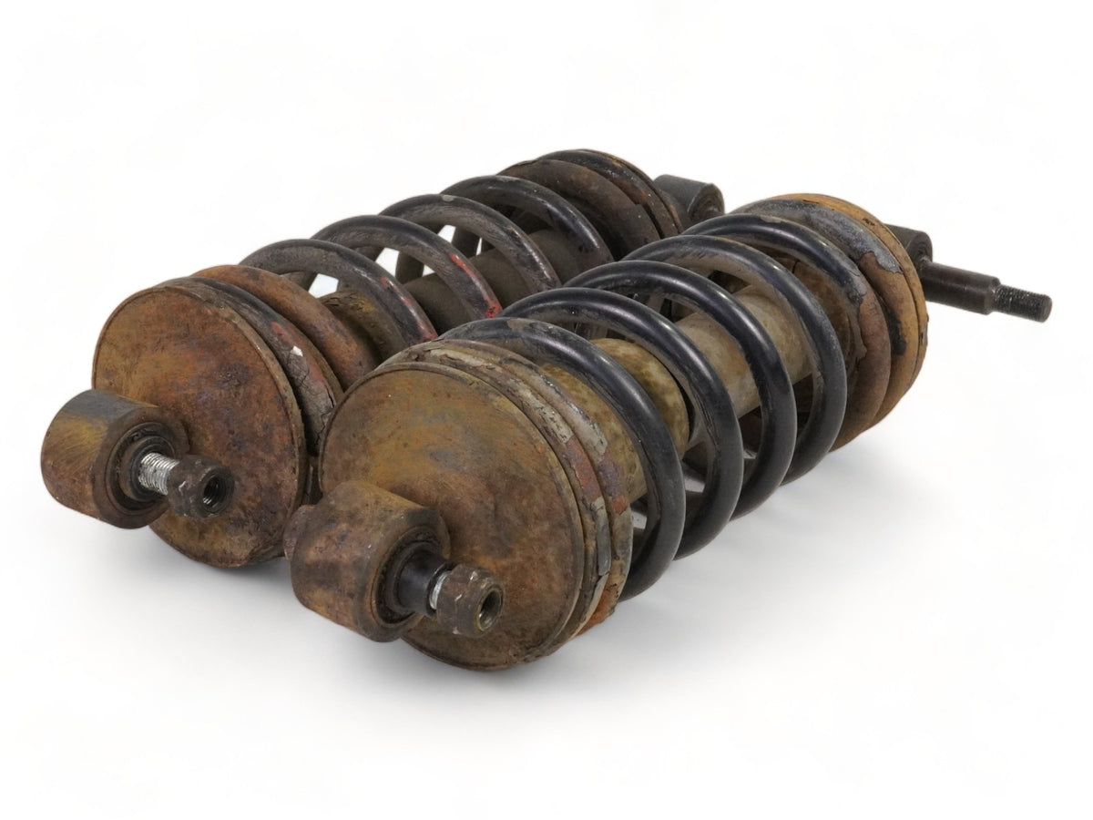 1984 - 1991 Jaguar Xjs He Coupe Strut Shock Absorber Dual Coil Spring Rear Right