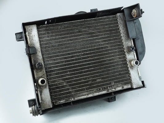 2007 - 2013 Bmw X5 E70 4.4L Twin Turbo Cooling Oil Radiator W Shroud Lh OEM