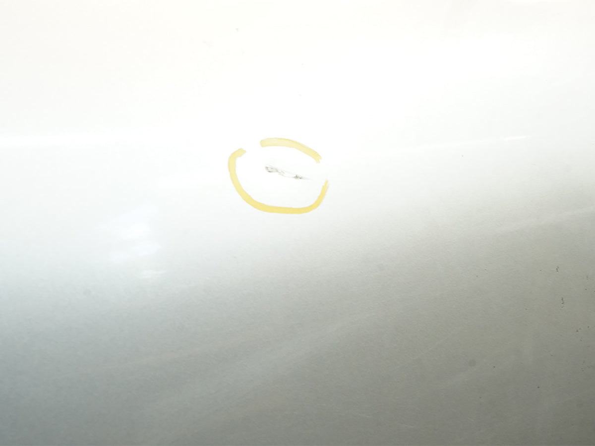 95-00 Lexus LS400 XF20 Rear Left Exterior Door Panel W Handle 6700450904 OEM