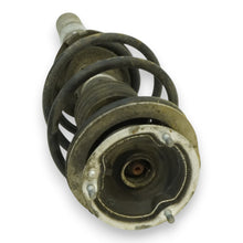 Load image into Gallery viewer, 01-03 BMW 525 528 E39 Strut Shock Absorber Coil Spring Front Left 556832 OEM, buy