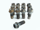 2011 - 2016 BMW 5 SERIES F10 NUT BOLTS  LUG STANDARD WHEEL SET OF 13 OEM