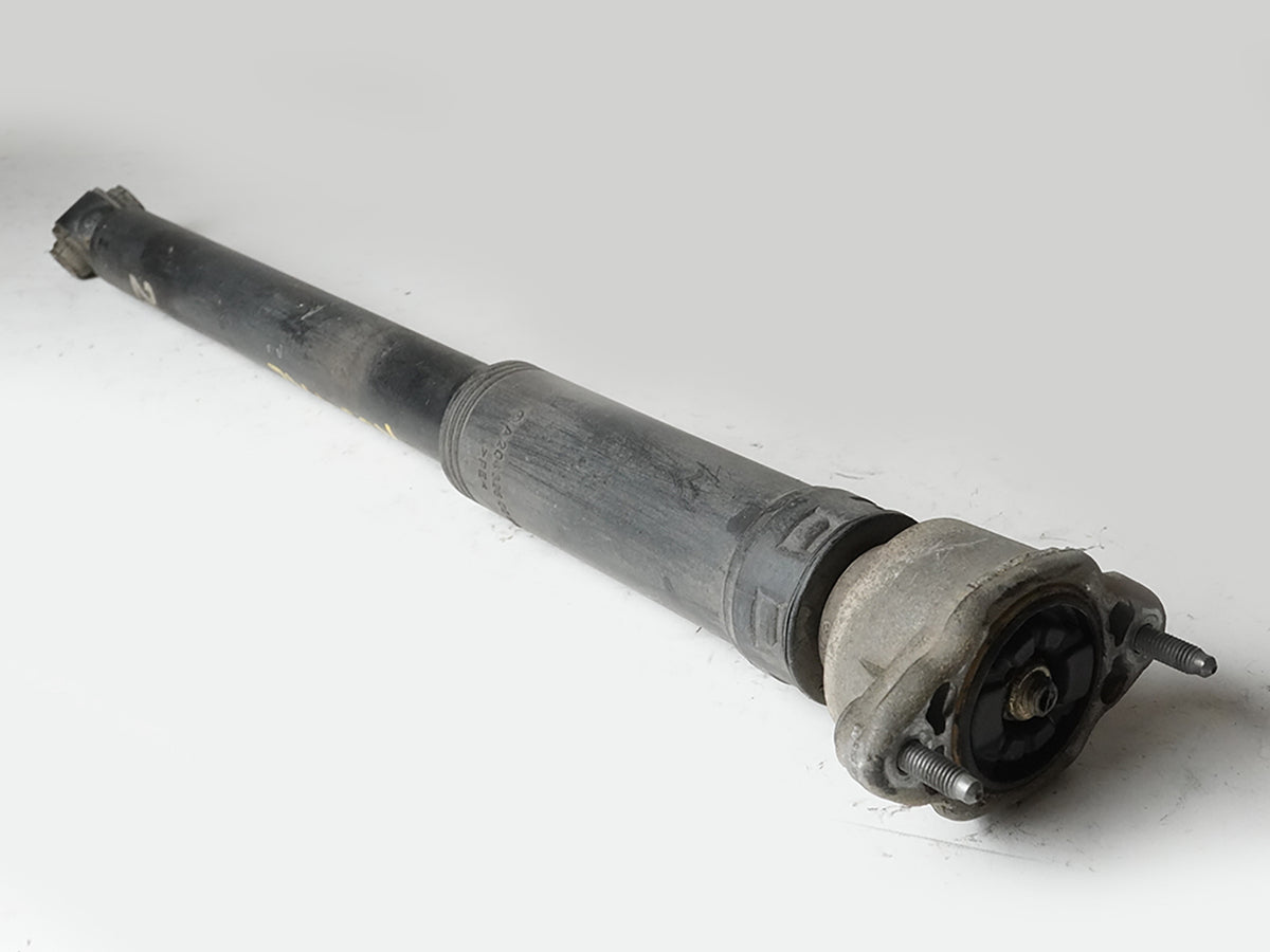2010 - 2013 Mercedes Benz E Class C207 Coupe Strut Shock Absorber Rear Lh OEM