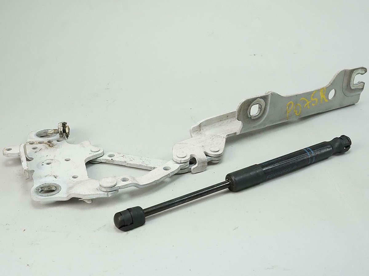 2012 - 2016 Bmw 3 Series F30 Hood Hinge W Bonnet Strut Passenger Rh Side OEM