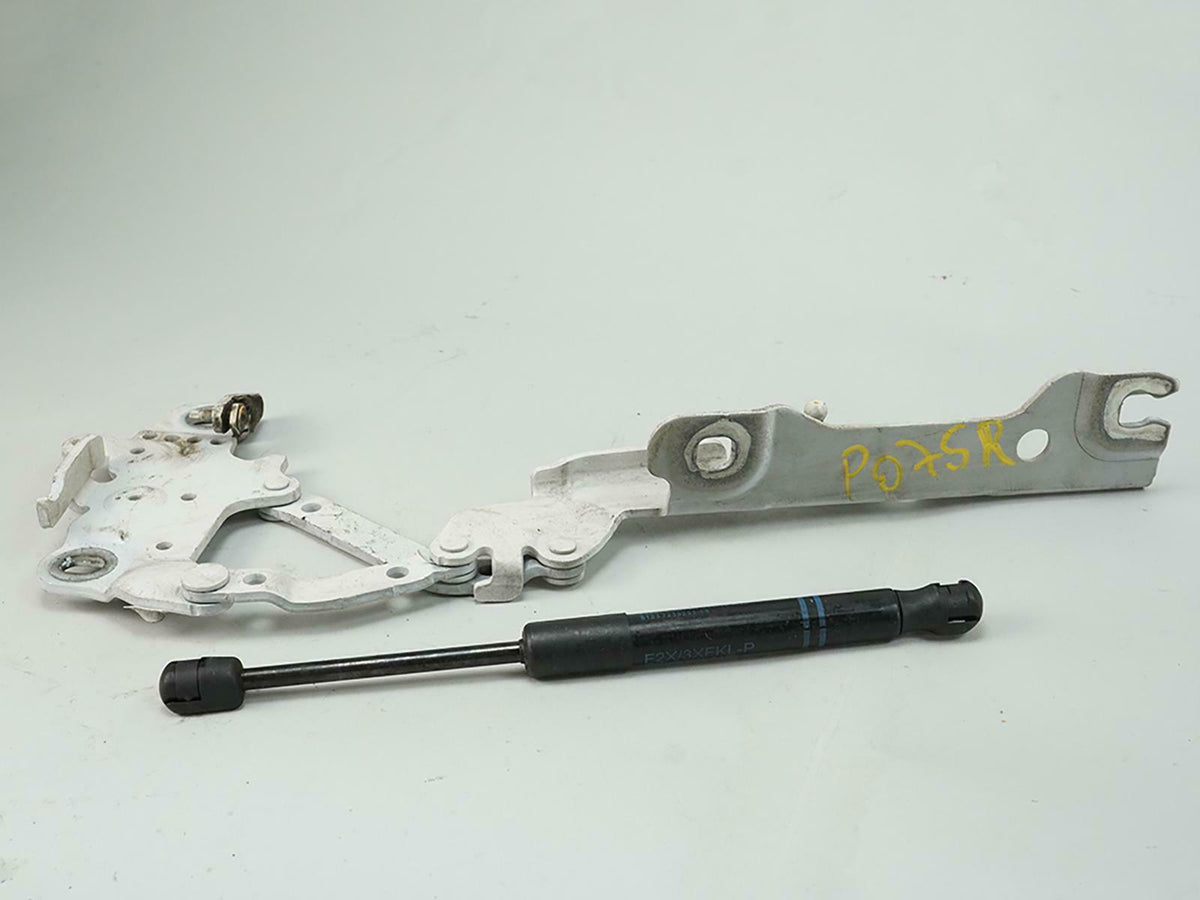 2012 - 2016 Bmw 3 Series F30 Hood Hinge W Bonnet Strut Passenger Rh Side OEM