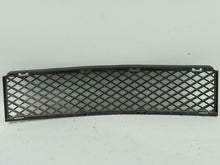 Load image into Gallery viewer, 2006 - 2008 BMW 7 SERIES E65 LOWER BUMPER GRILLE CENTER FRONT 51117135573 OEM, price