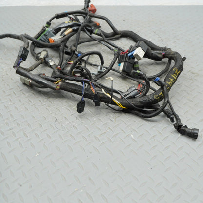 02-06 Harley Davidson V-Rod VRSCA Main Engine Wiring Harness Wire Loom OEM