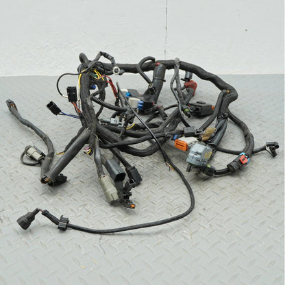 02-06 Harley Davidson V-Rod VRSCA Main Engine Wiring Harness Wire Loom OEM