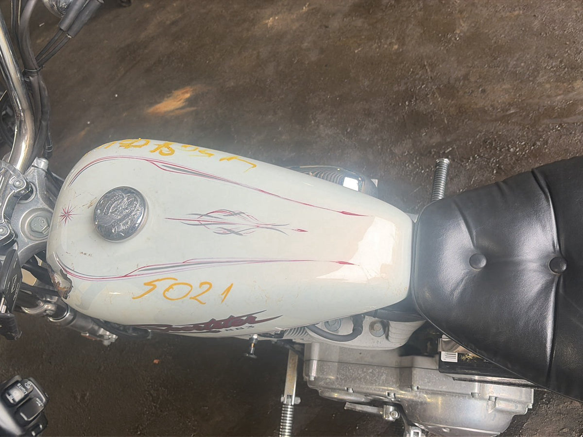 2001 Harley-Davidson XL883 Hugger
