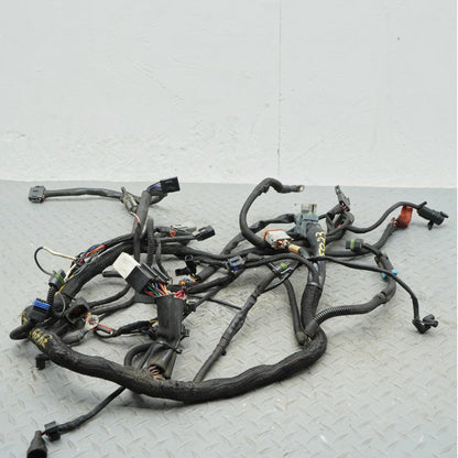 02-06 Harley Davidson V-Rod VRSCA Main Engine Wiring Harness Wire Loom OEM